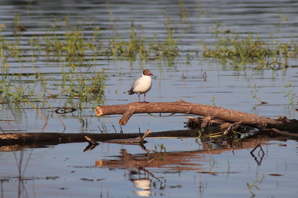Photograph by Вера Почкалина