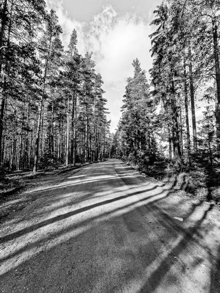 Photograph by Valensia Ludus
