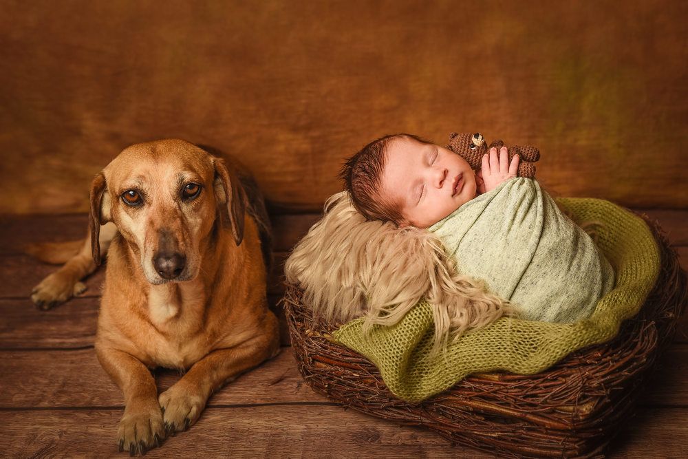 Photograph by Bojan Migac