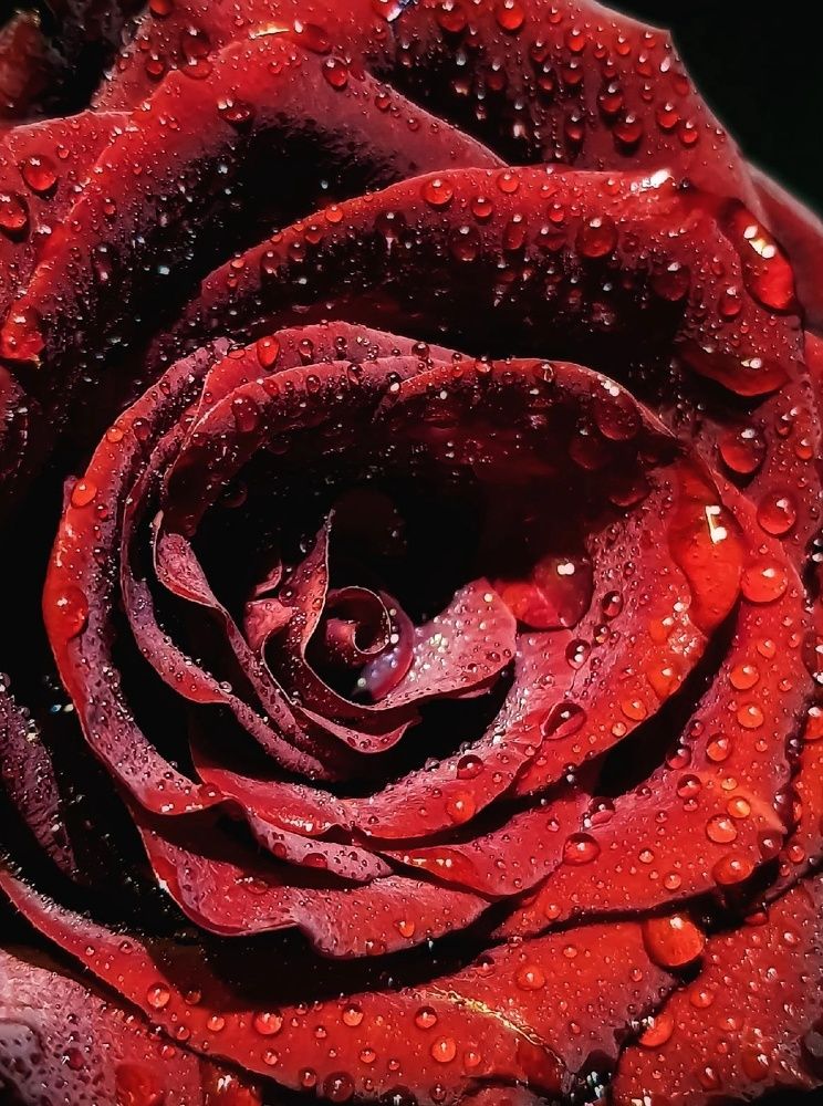 Photograph by Эльвира Куликова