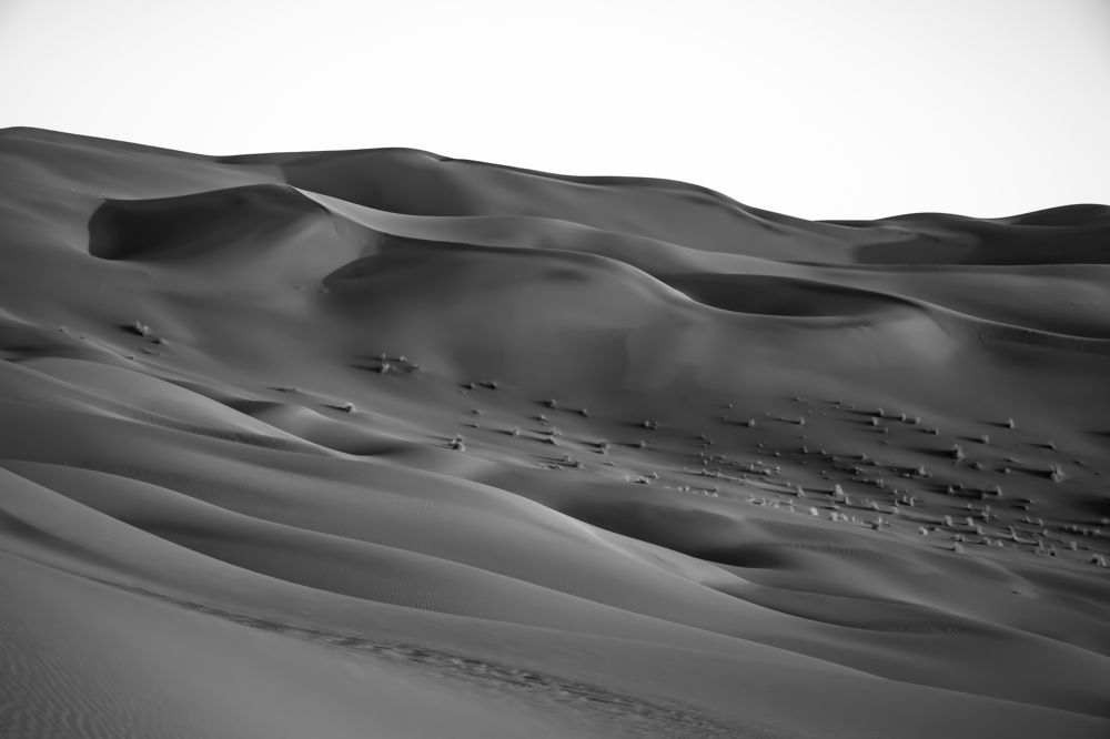 Photograph by Mahnaz Jafari