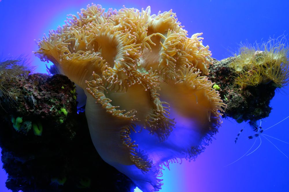 Photograph by Шмидт Юрген