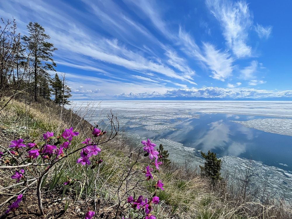 Photograph by Михаил Назаров