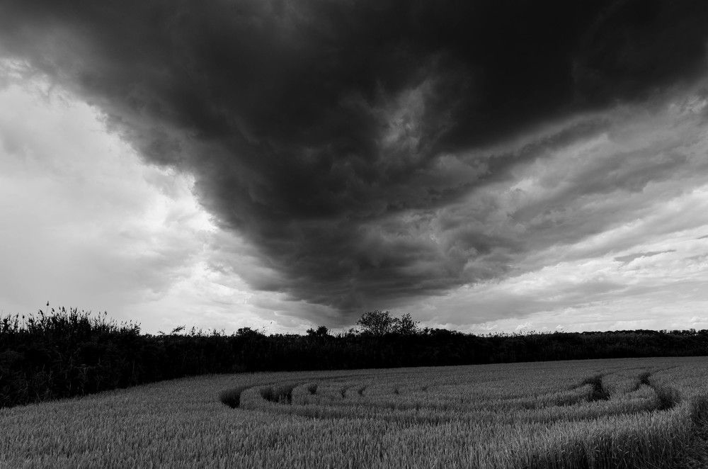 Photograph by Редько Александр