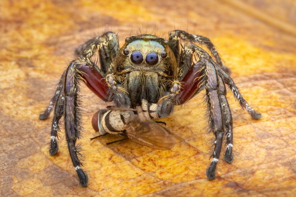 Photograph by Nicholas Ng