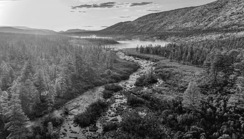 Photograph by Вадим Дмитриев