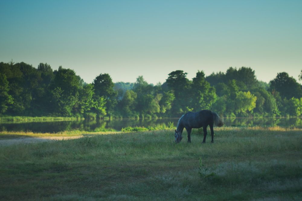 Photograph by Дмитрий Павлов