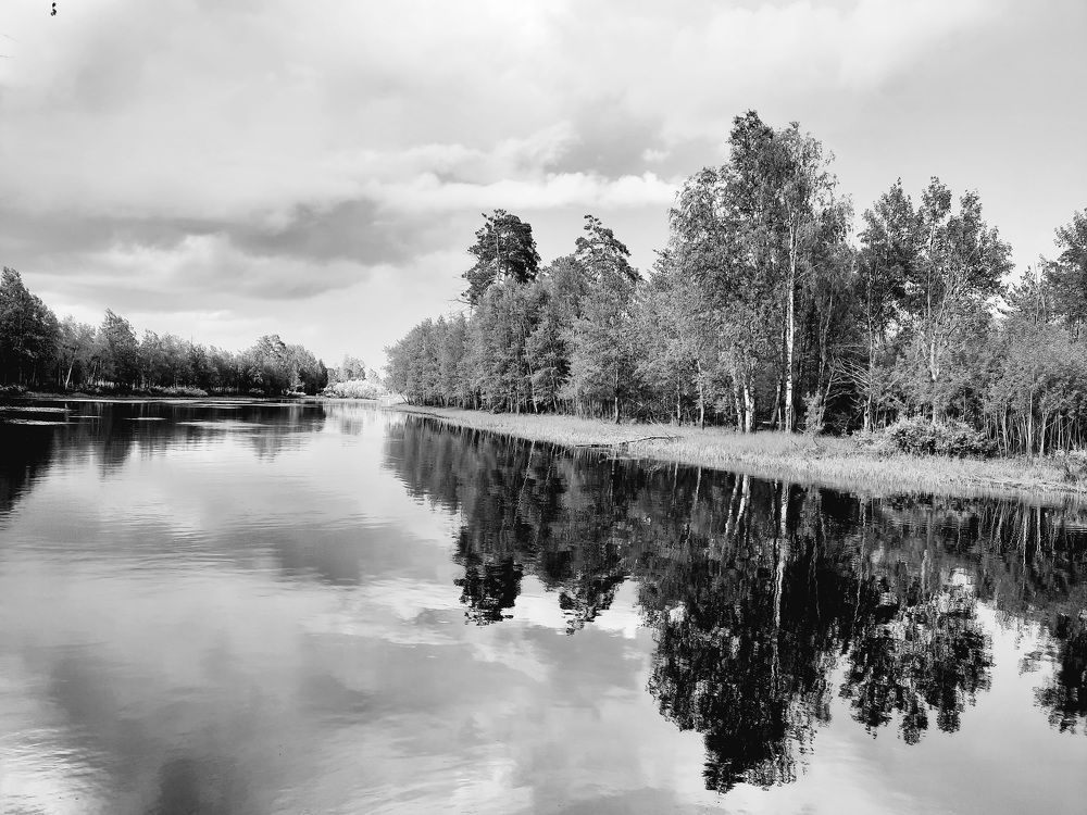 Photograph by Людмила Е.