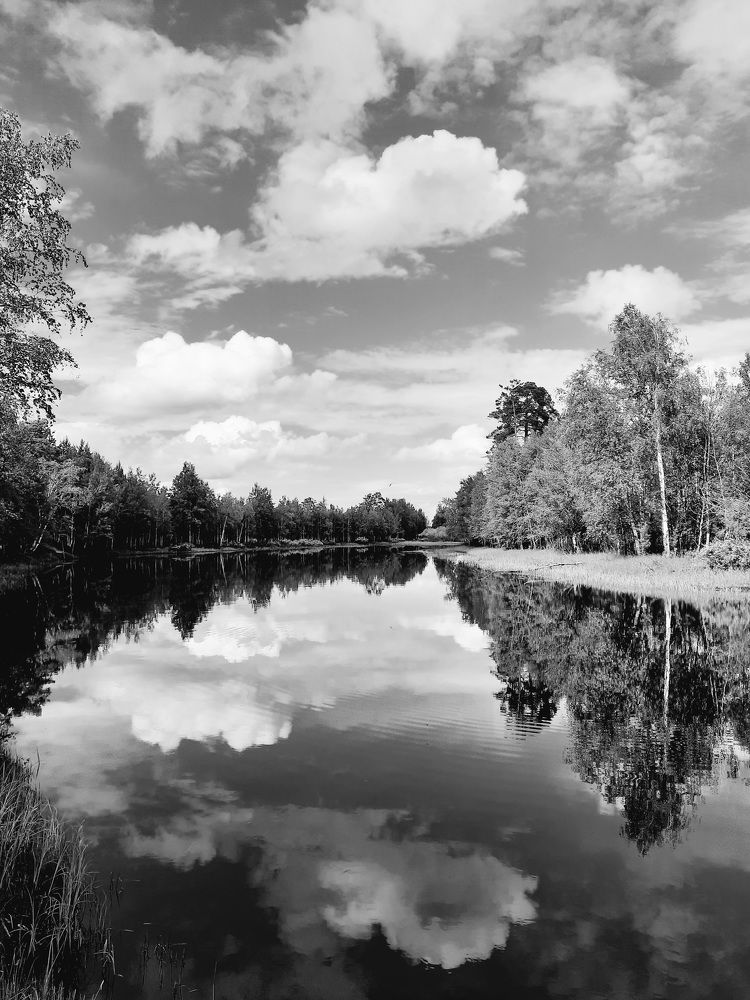 Photograph by Людмила Е.