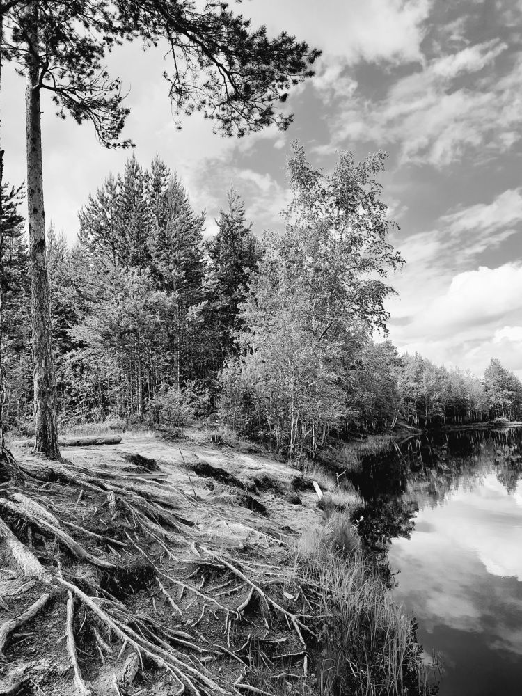 Photograph by Людмила Е.