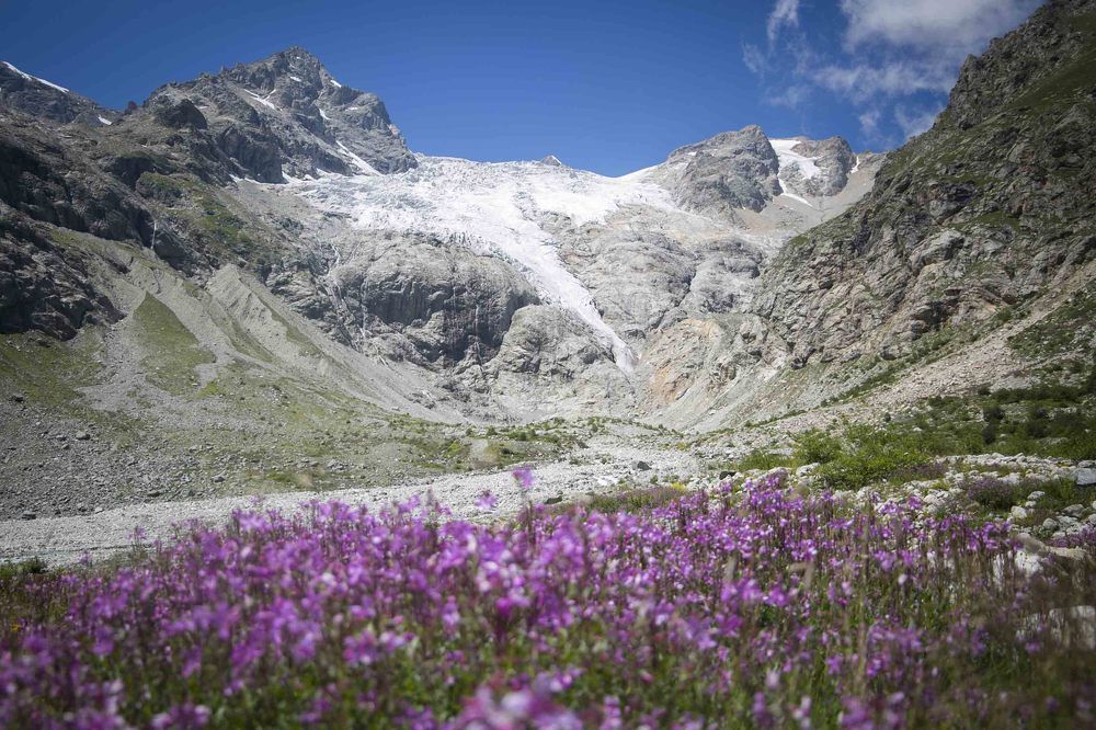 Ледник Тана