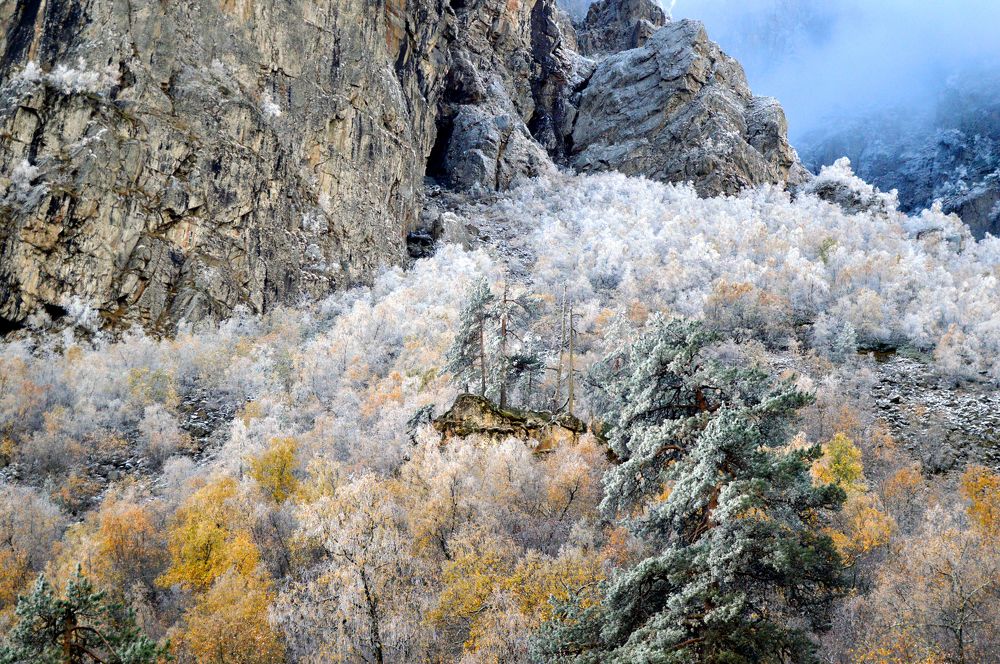 Осениие заморозки