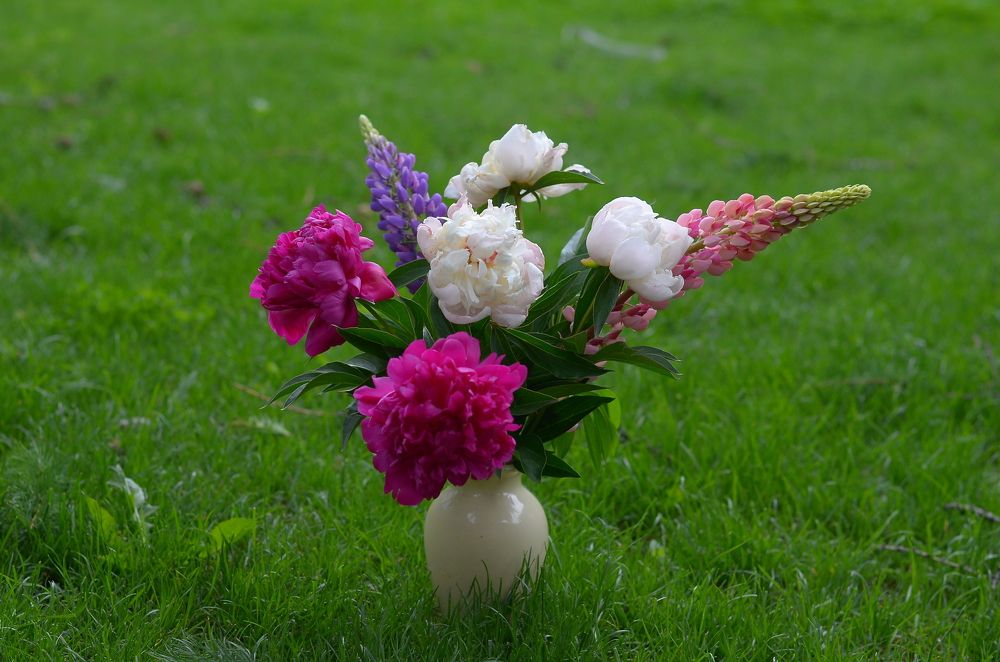 Photograph by Евгения Синкина