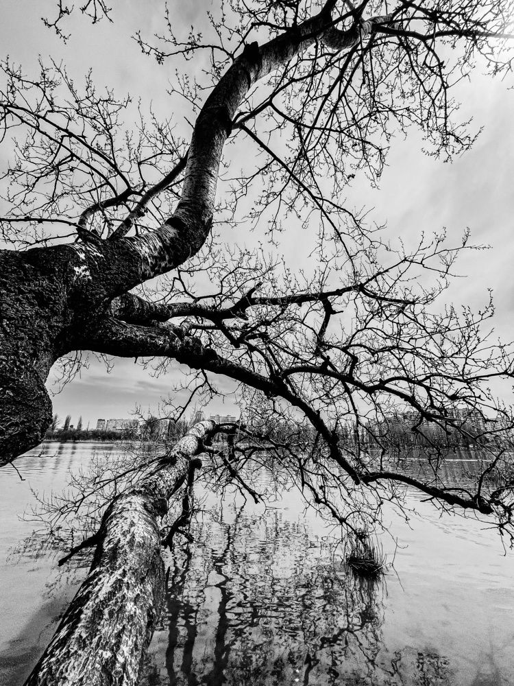 Фотография автора Oxana Yurasova