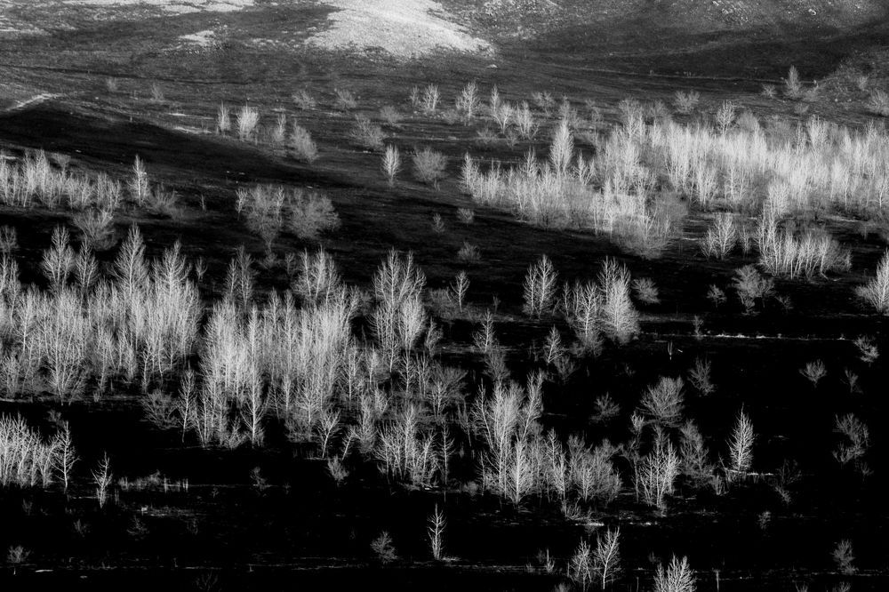 Photograph by Степан Кравченко