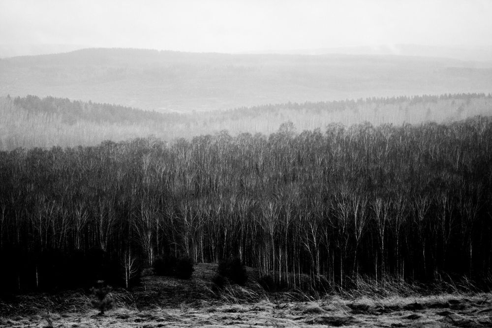 Photograph by Степан Кравченко