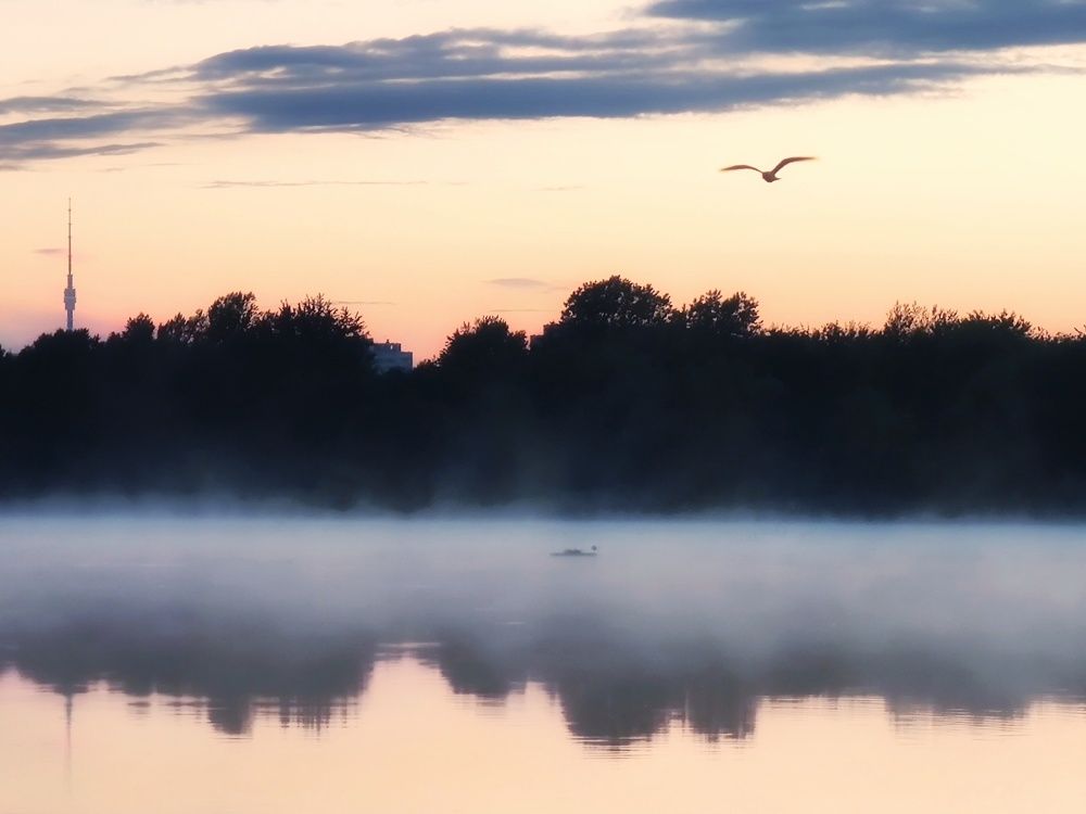 Photograph by Екатерина Харитонова