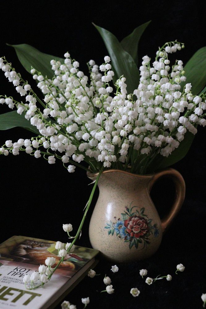 Photograph by Марина