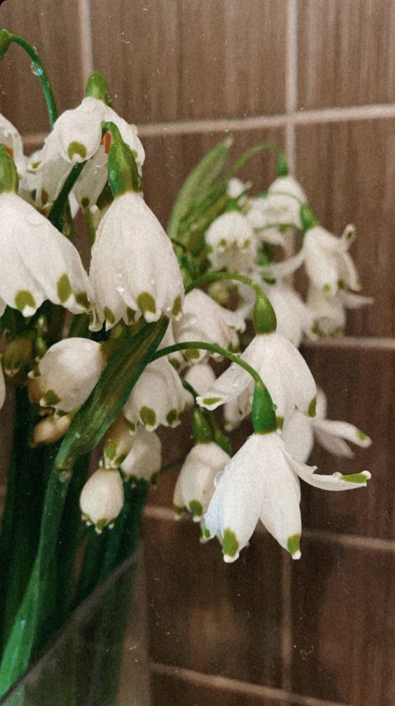 Фотография автора Oxana Yurasova