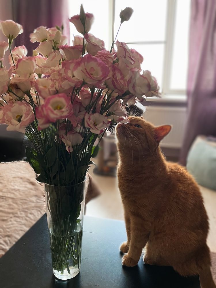 Фотография автора Oxana Yurasova