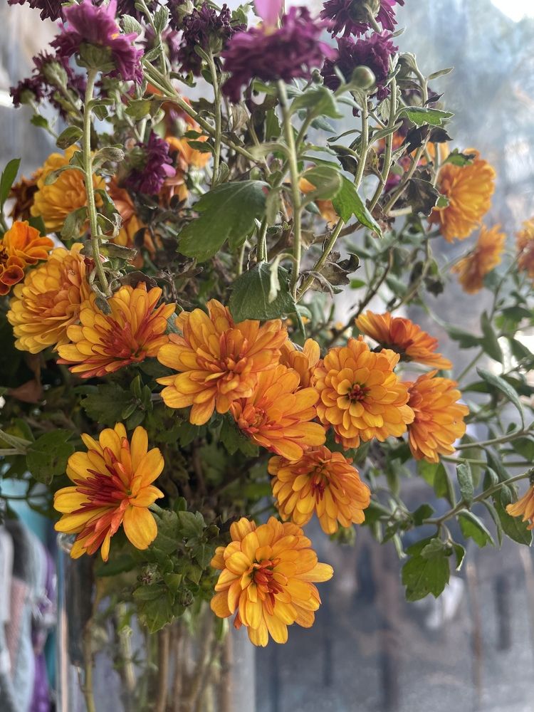 Фотография автора Oxana Yurasova