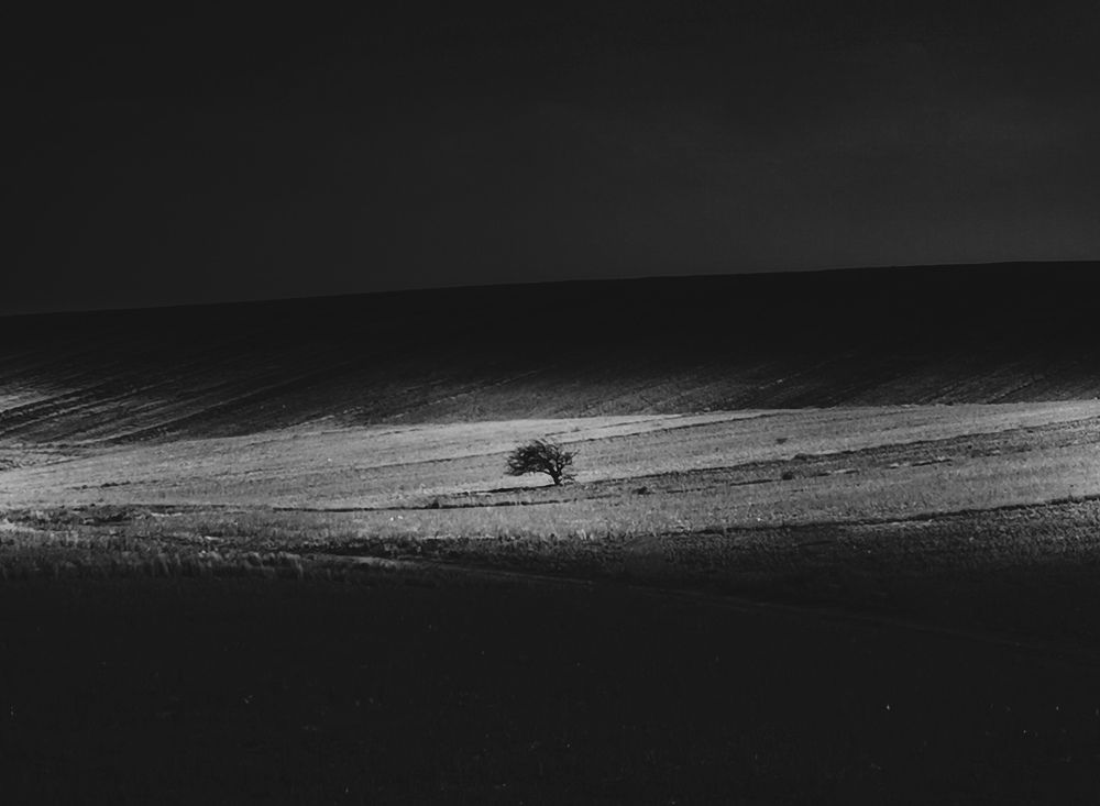 Photo #7743750