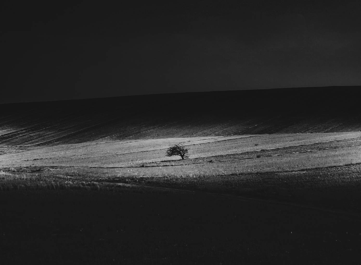 Photo #7743750