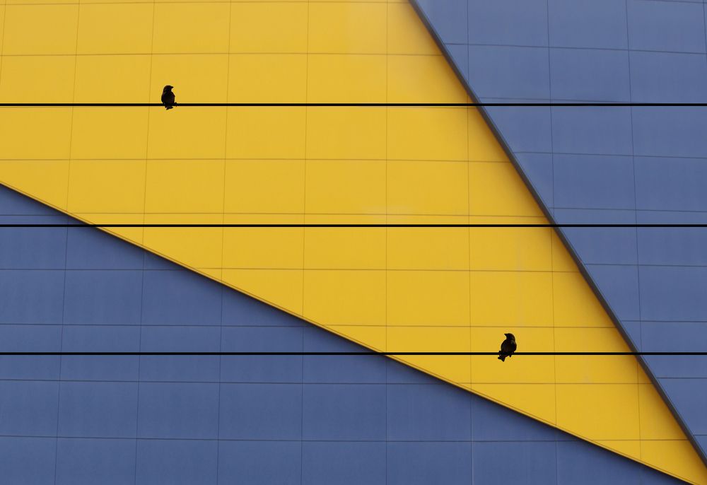 Фотография автора Hosein Davoodi