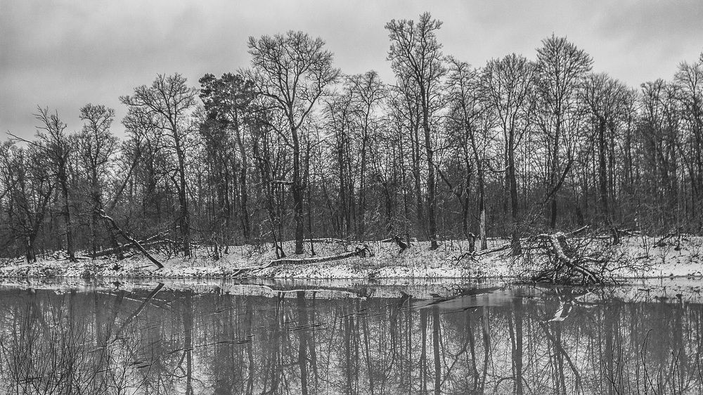 Photograph by Алена