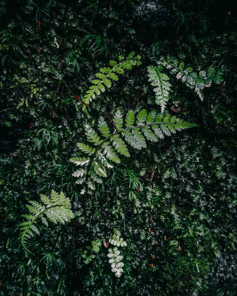 Photograph by Mobigraf