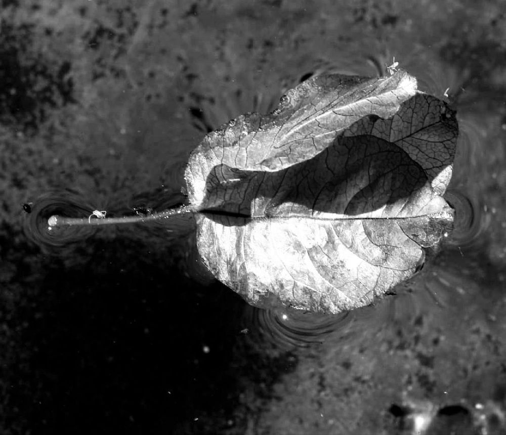 Photograph by Elizma Boonzaaier