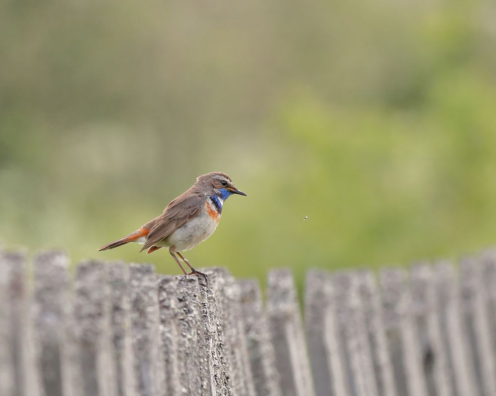Photograph by Титов Александр