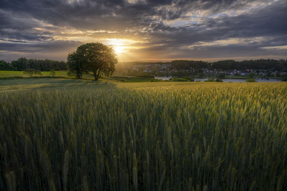 Photograph by Karim Qubadi