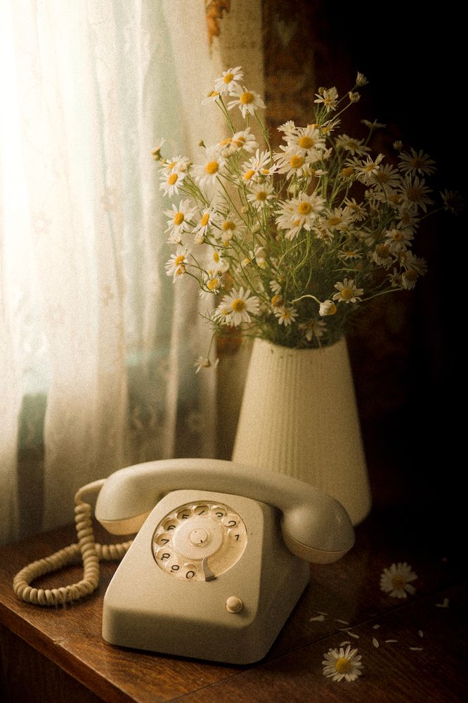 Photograph by Татьяна Бушук