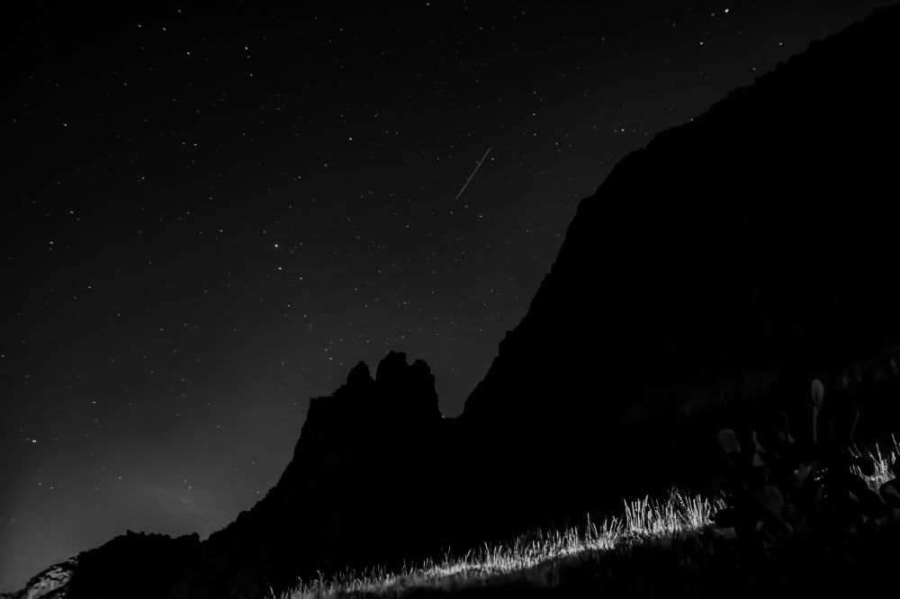 Photograph by Teresa Molinaro