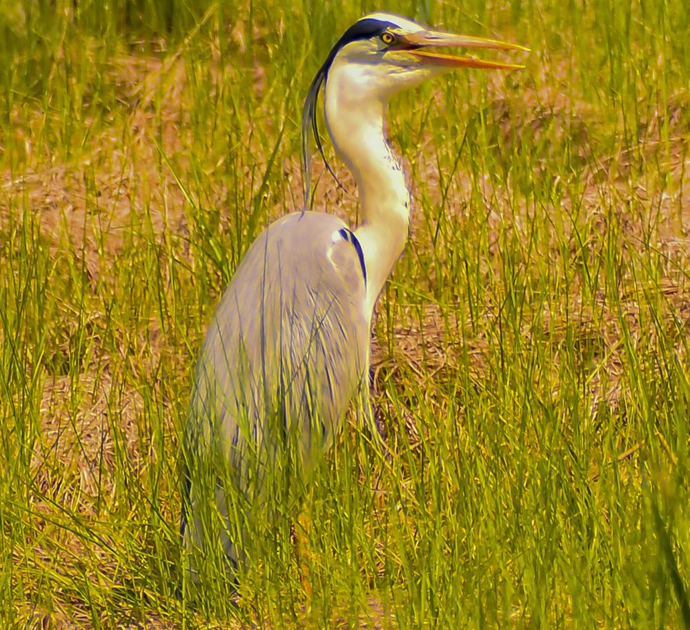 Photograph by Блохина Ольга