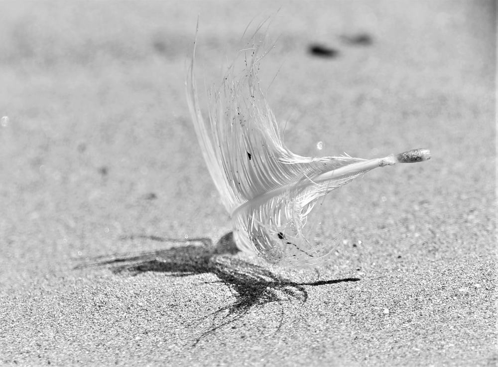 Photograph by Elizma Boonzaaier