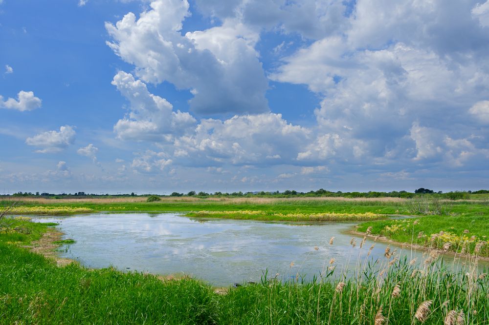 Photograph by Виталий Бодрягин