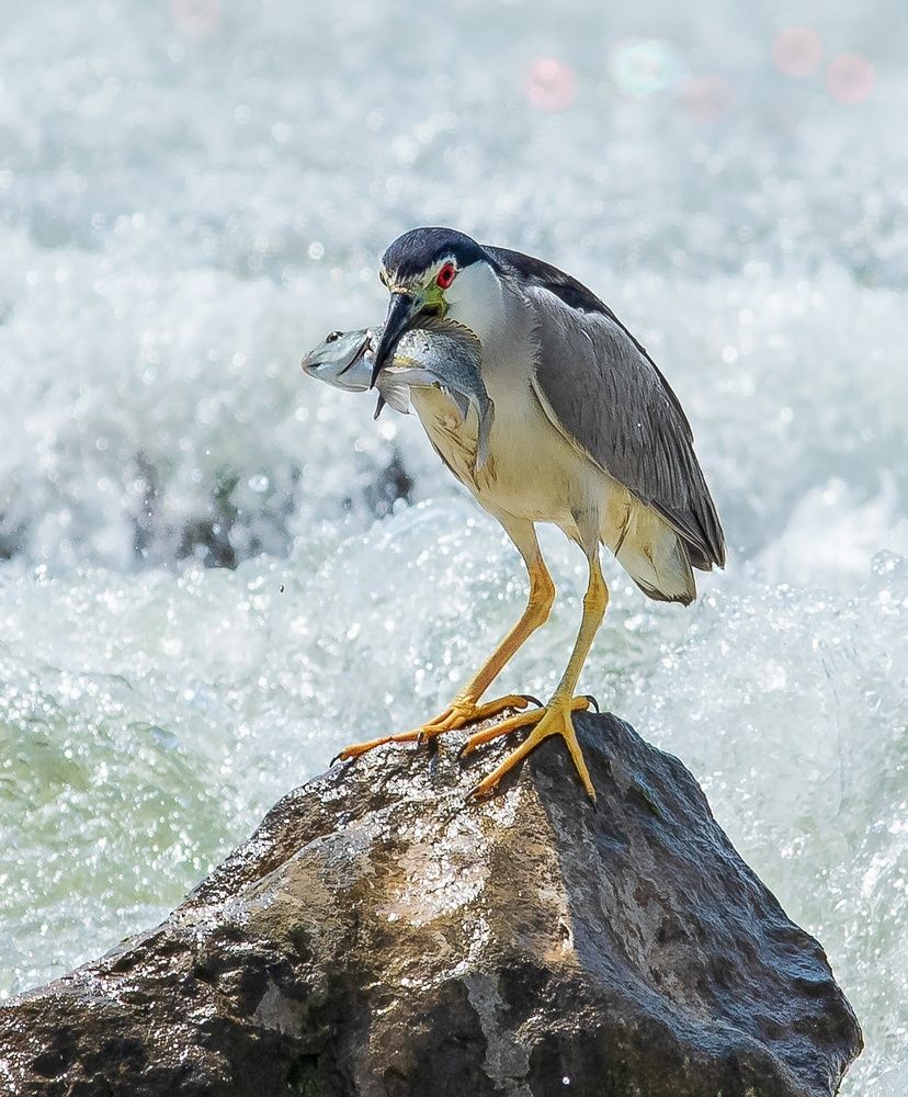 Photograph by Sabry Nael