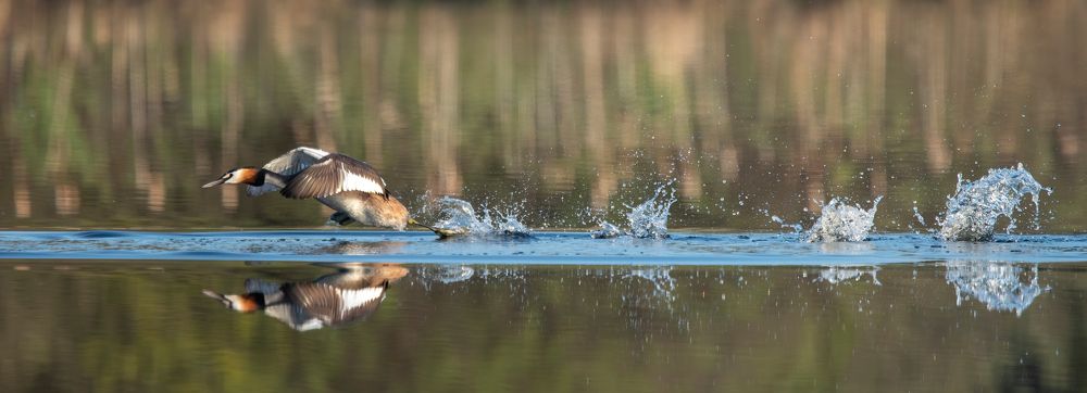 Фотография автора Калиногорский Юрий