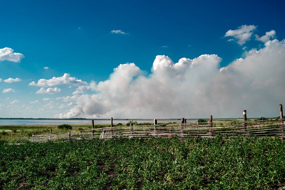 Photograph by Поляков Артур