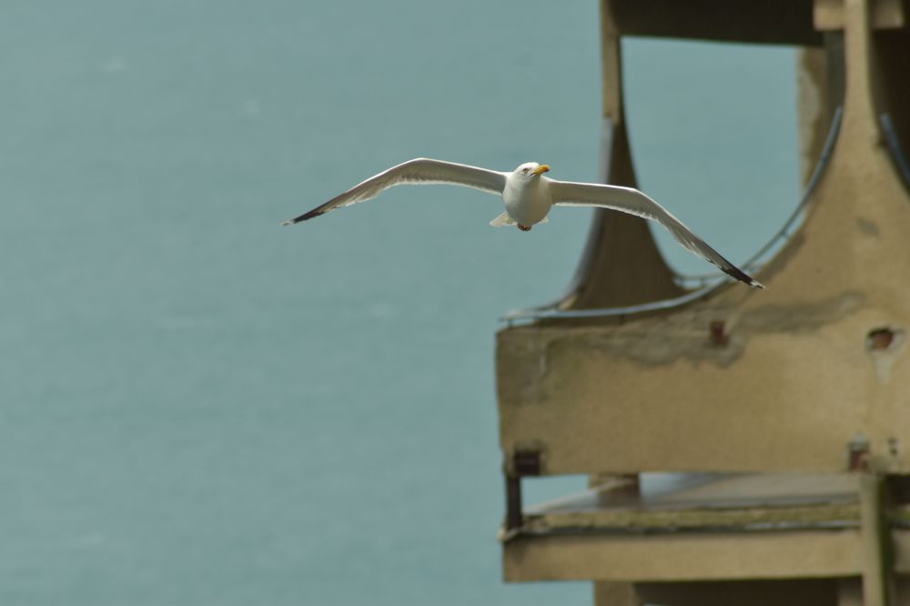 Photograph by Александр Костин