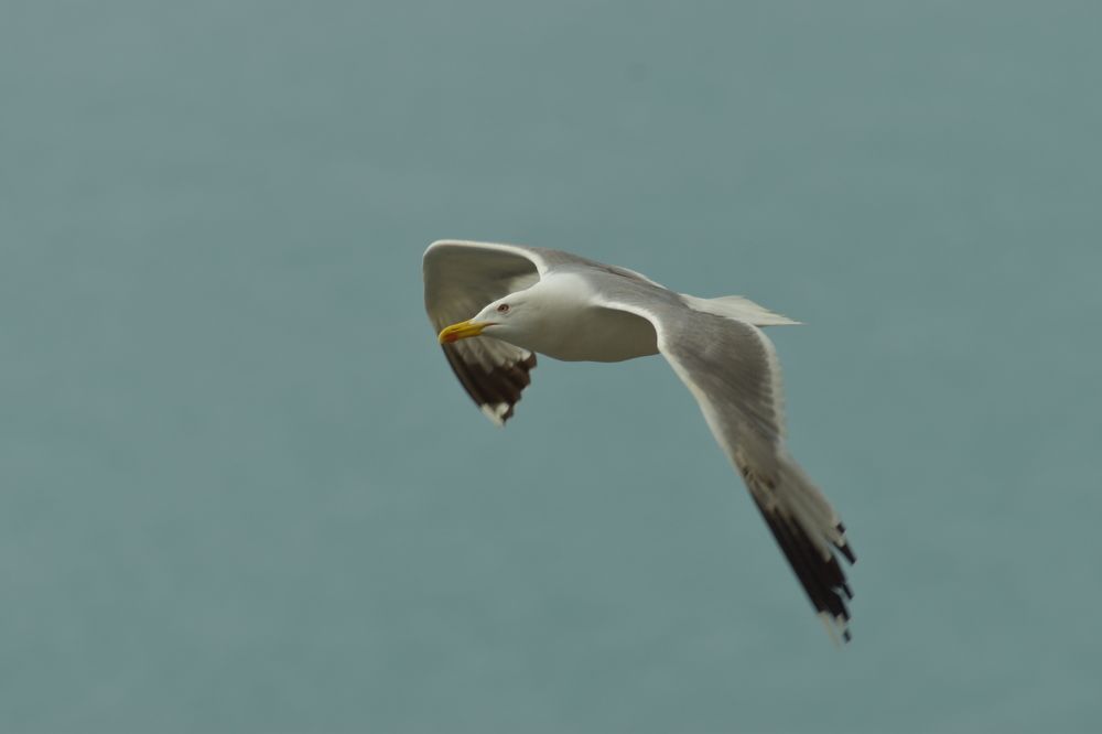 Что так на меня смотришь?