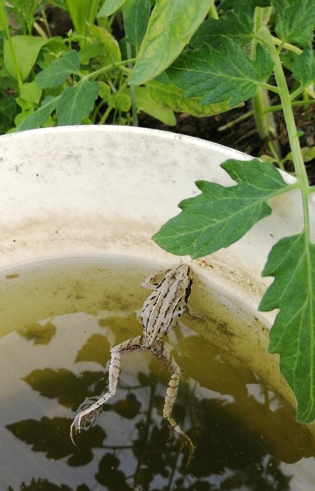 Photograph by Tany Pol