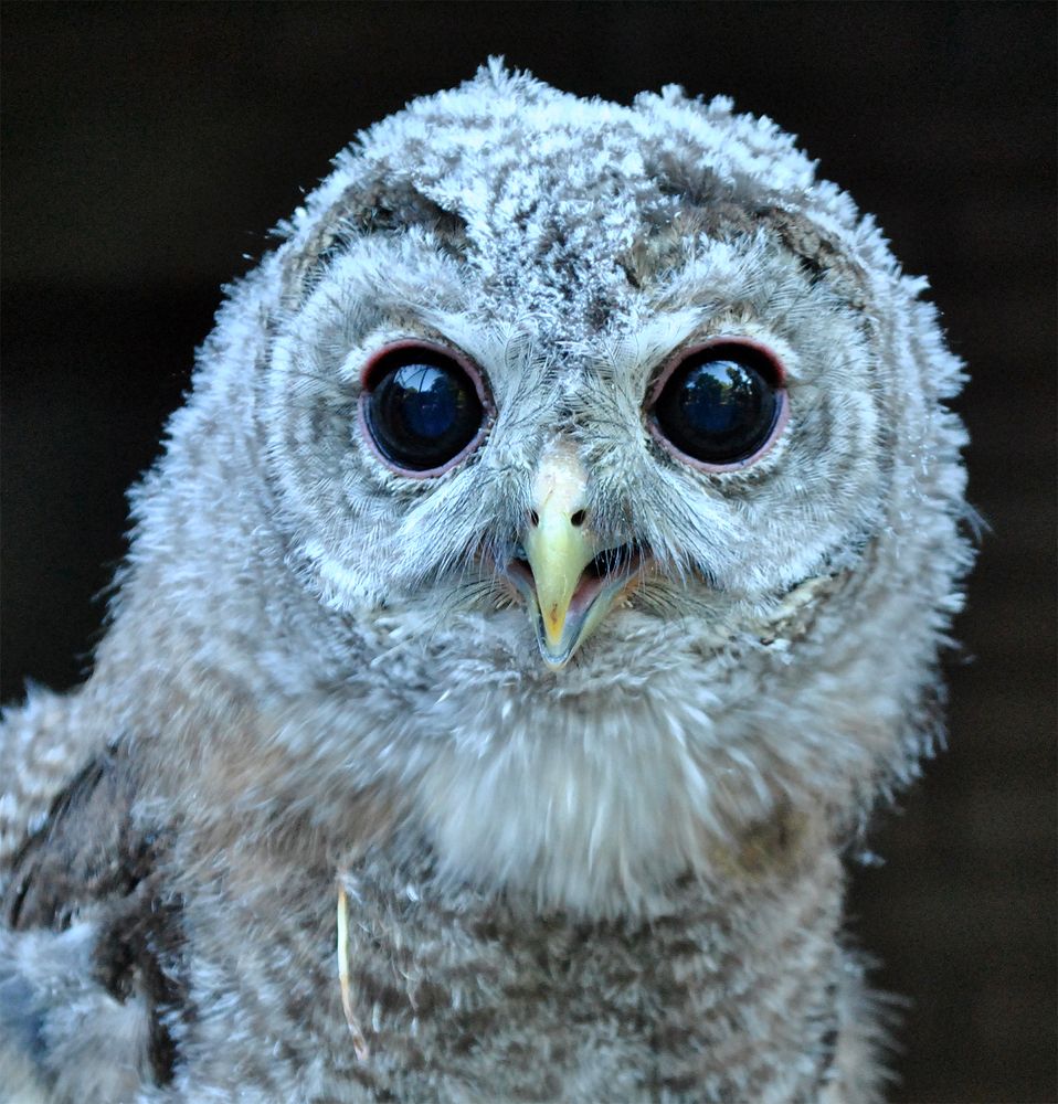 Photograph by Алексей