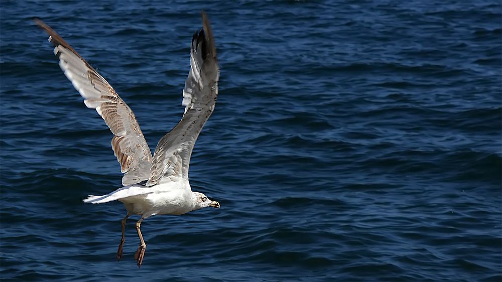 Photograph by Алексей Парамонов