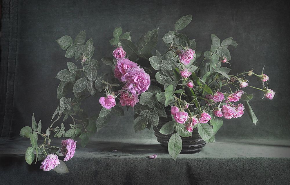 Photograph by валентина позднякова