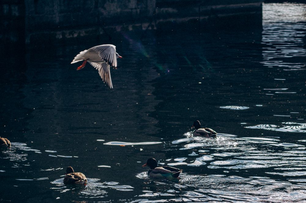Photograph by Анастасия Кулаковская