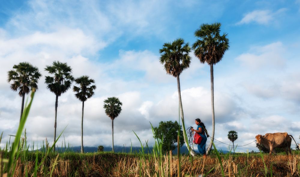 Photograph by Hiếu Minh Vũ