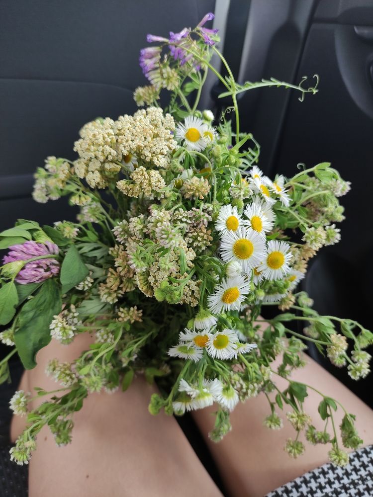 Photograph by Ирина Алексеевская